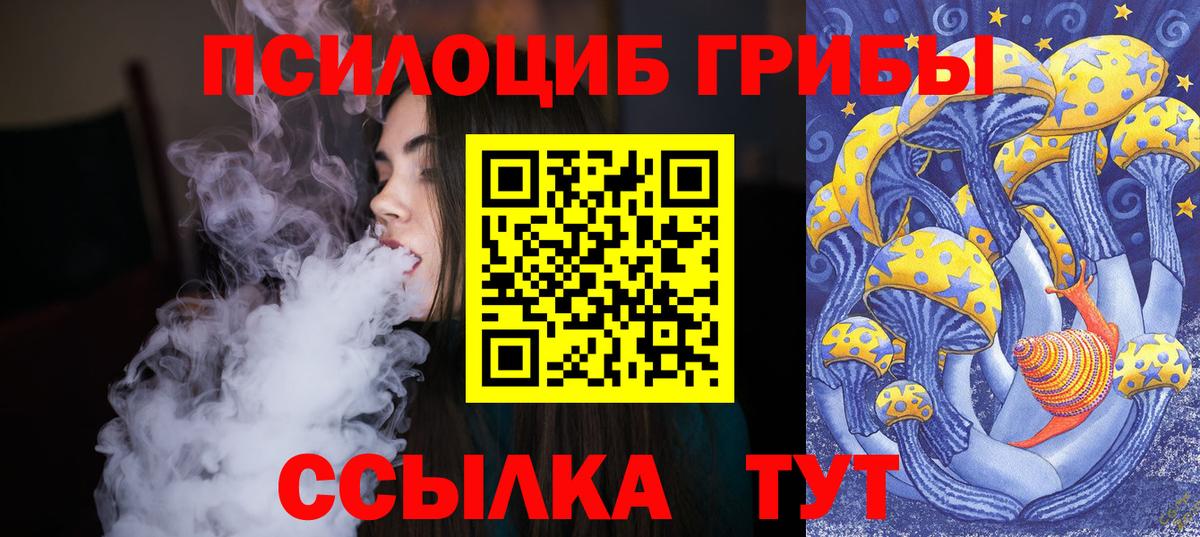 Сосновоборск  Галлюциногенные грибы Psilocybe  где купить   Вход с VPN 